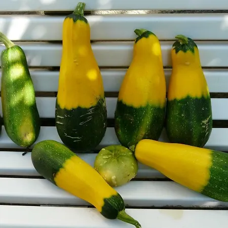 Maison Neuve Apartment Grandval